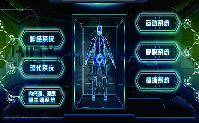 人体导诊系统